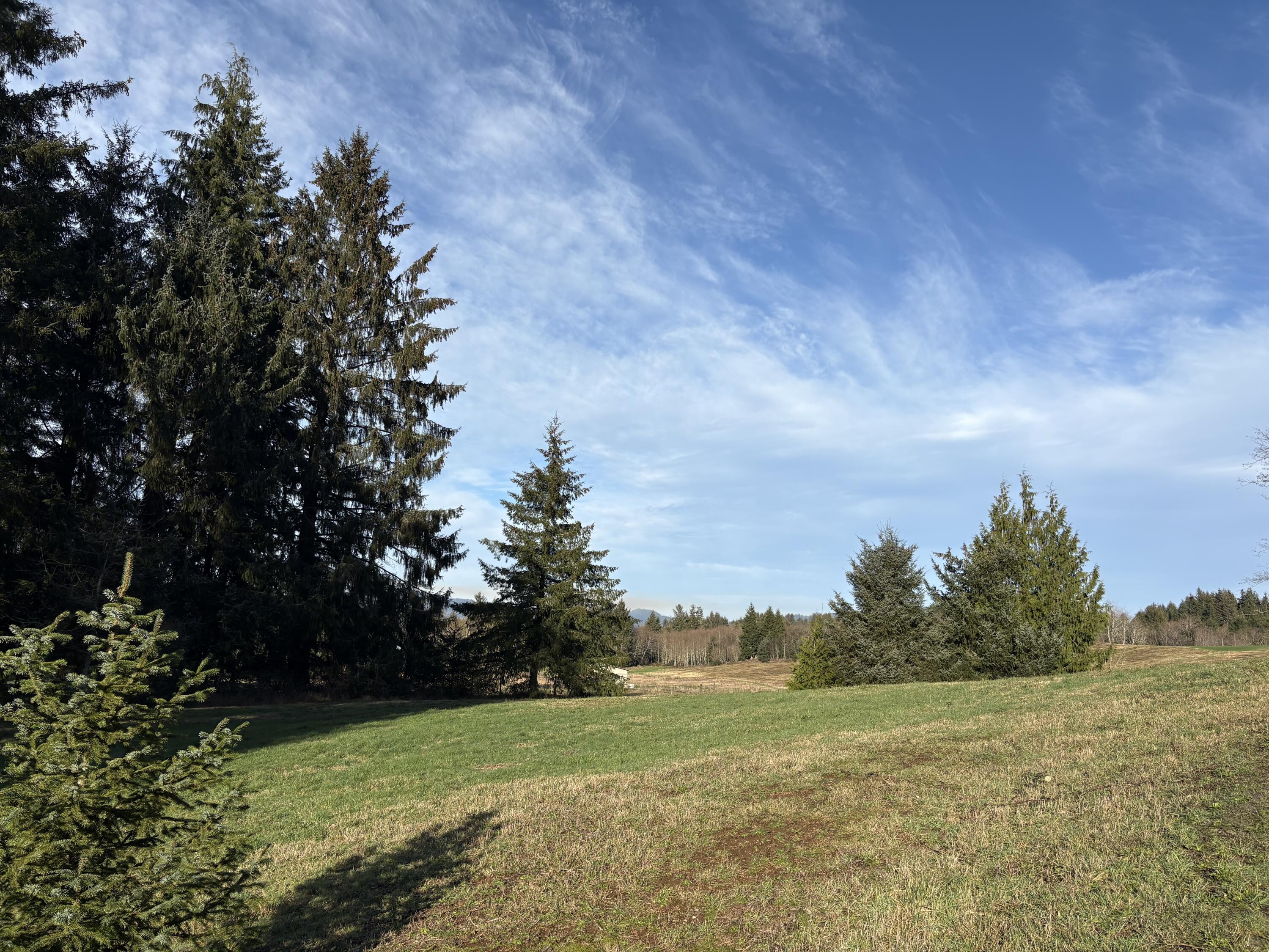 1201 Hurliman Hill Road Tillamook, OR 97141 - Photo 6 of 8 IMG_5341