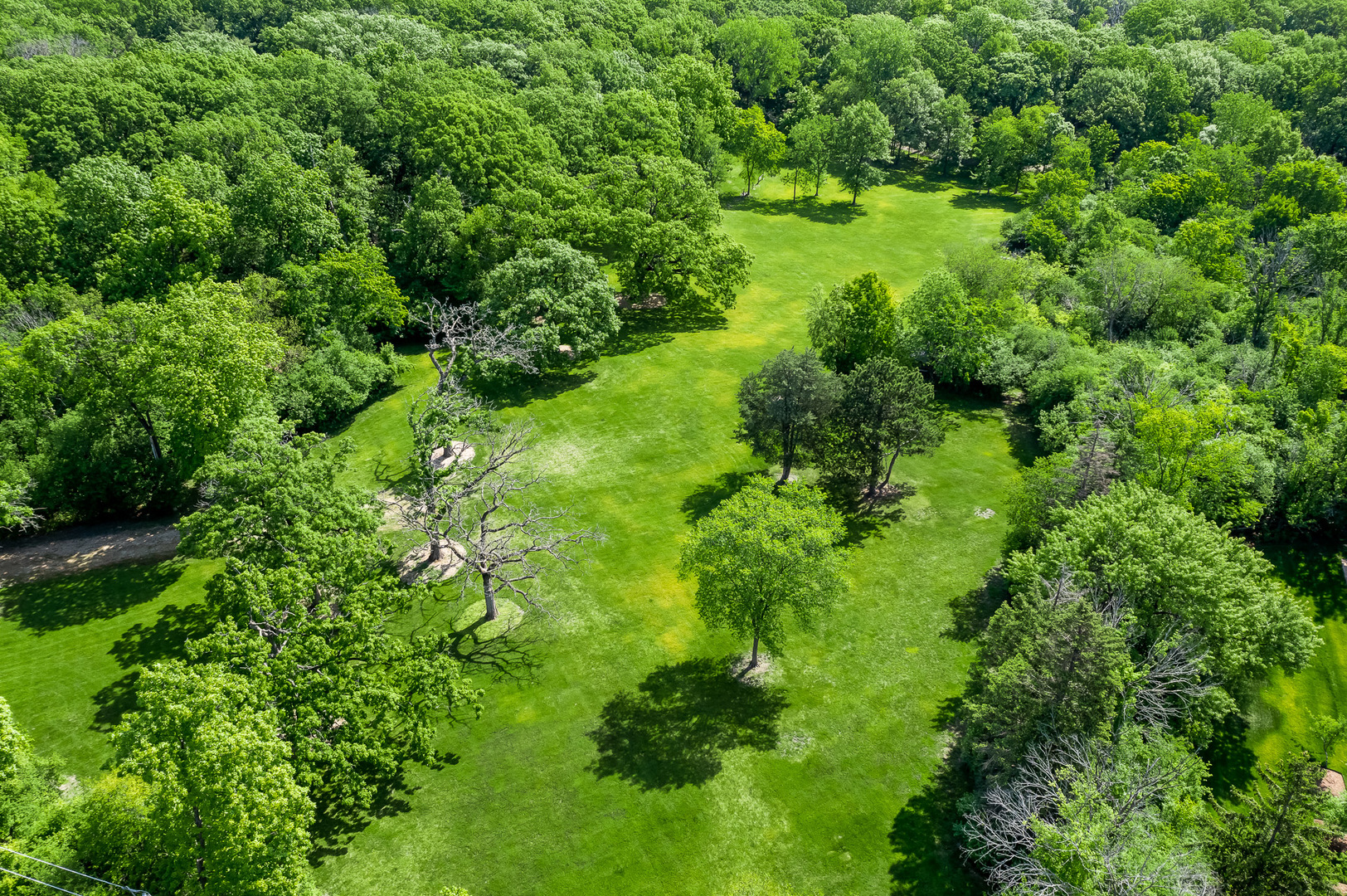 3601 Adams Road Oak Brook, IL 60523 - Photo 11 of 12 a view of a garden