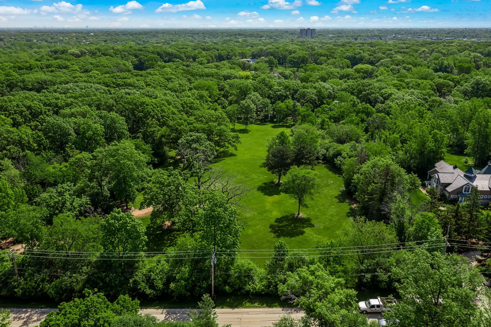 3601 Adams Road Oak Brook, IL 60523 - Photo 12 of 12 a view of a lush green forest with trees and some houses