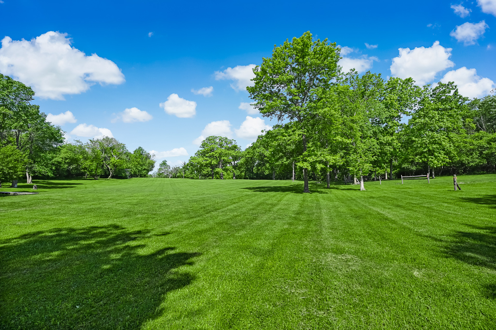 3601 Adams Road Oak Brook, IL 60523 - Photo 2 of 12 a view of a golf course with a lake