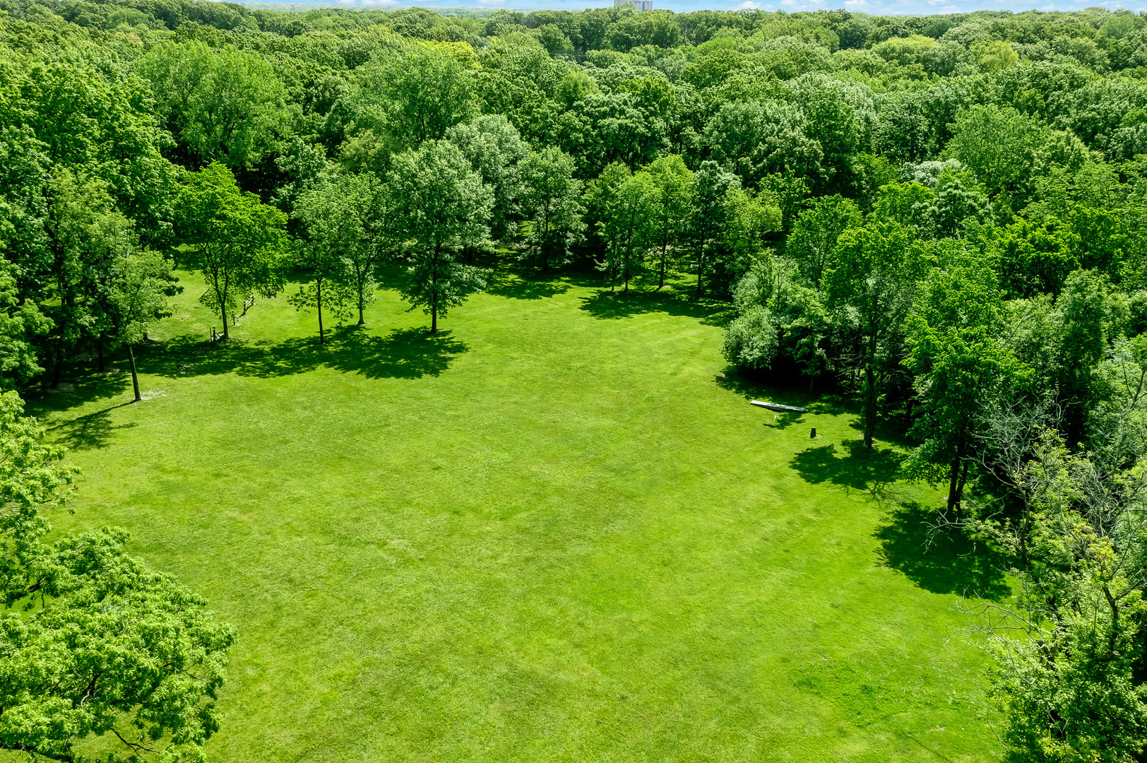 3601 Adams Road Oak Brook, IL 60523 - Photo 3 of 12 a view of yard with green space