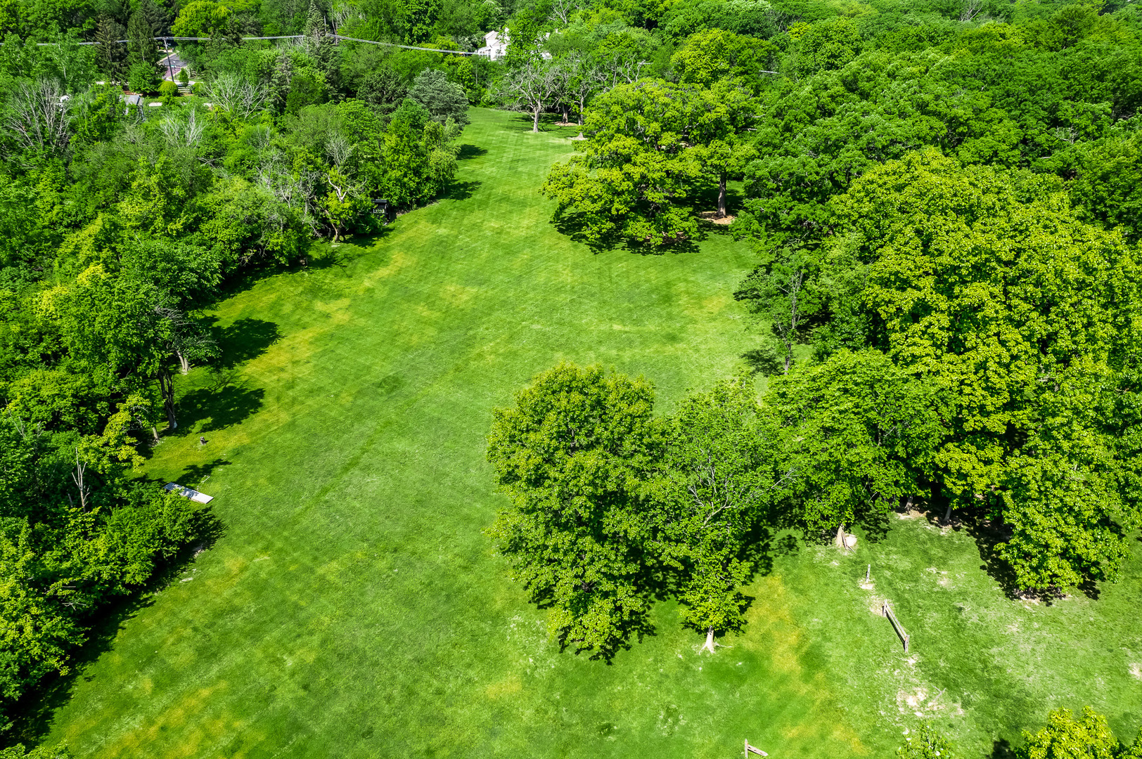 3601 Adams Road Oak Brook, IL 60523 - Photo 6 of 12 a view of a lush green forest