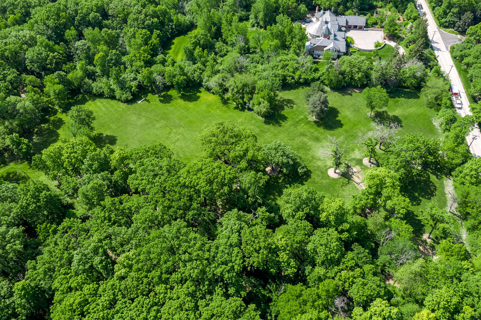 3601 Adams Road Oak Brook, IL 60523 - Photo 7 of 12 an aerial view of residential house with outdoor space and trees all around
