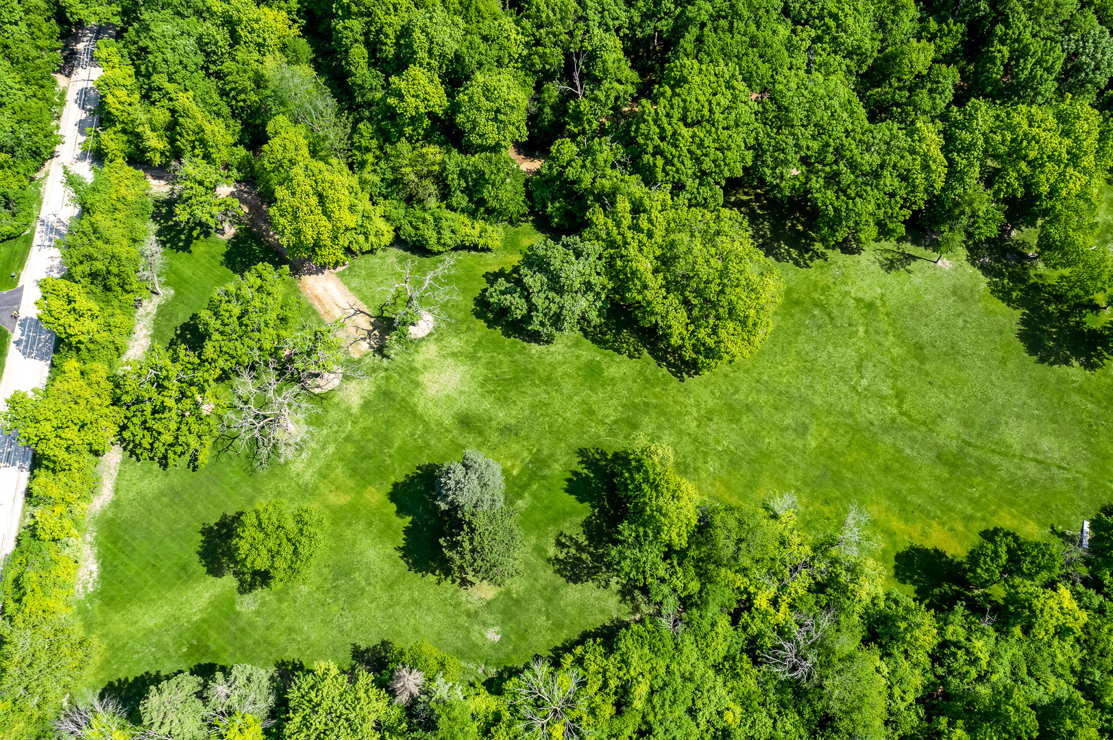 3601 Adams Road Oak Brook, IL 60523 - Photo 10 of 12 a view of a garden
