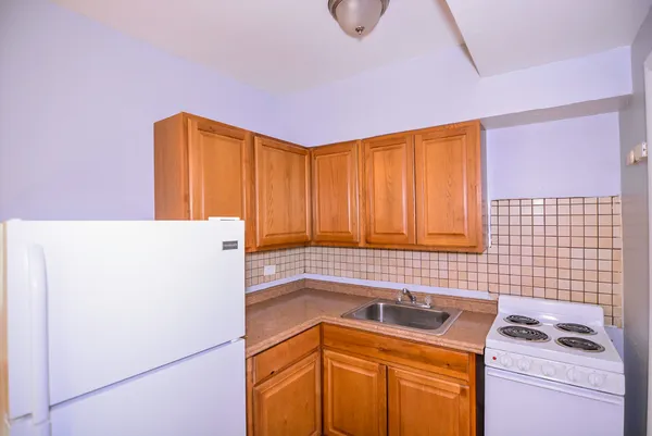 $1,295 | 4515 North Malden Street, Unit 1B, Chicago, IL 60640