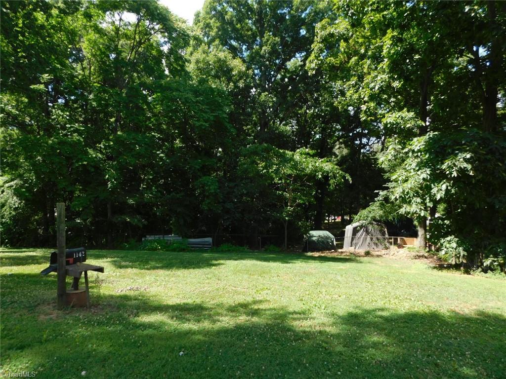 6624 Cedarberry Road Trinity, NC 27370 - Photo 17 of 18 Back Yard