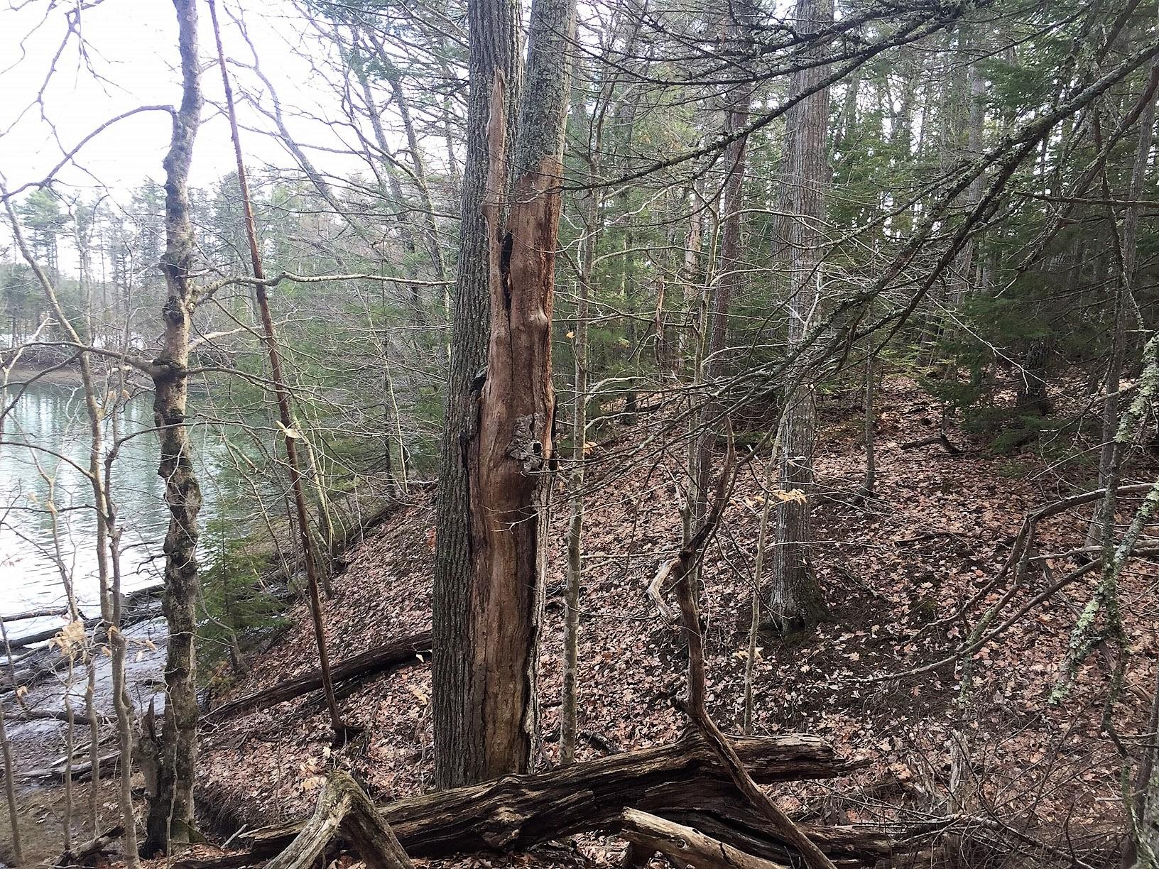 Lot 3 Breezy Point Road Brunswick, ME 04011 - Photo 11 of 11 photo6