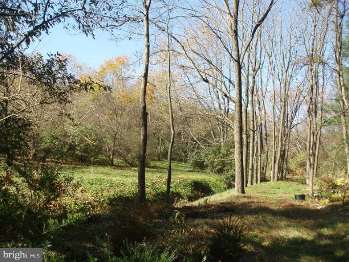 271 Barnhart Road Westminster, MD 21158 - Photo 14 of 29 Stream edged by black walnut trees