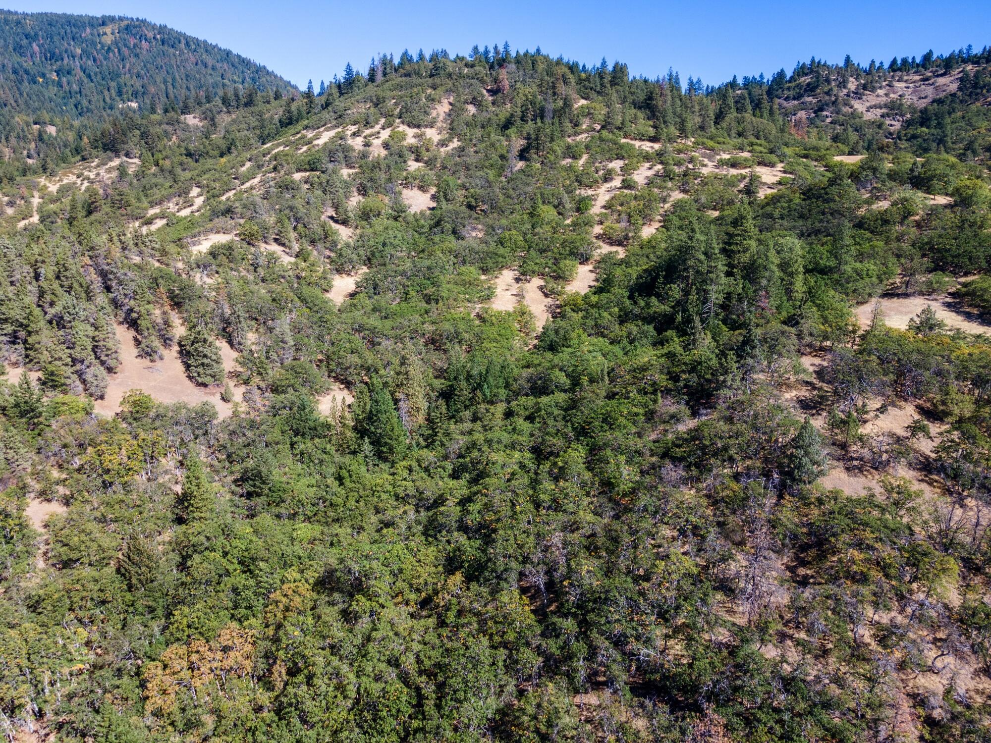 0 Colestin Road Ashland, OR 97520 - Photo 10 of 13 DJI_0914