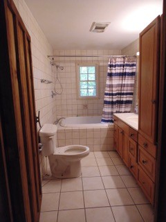 849 North Bluff Circle Monteagle, TN 37356 - Photo 11 of 17 a bathroom with a bathtub toilet and sink