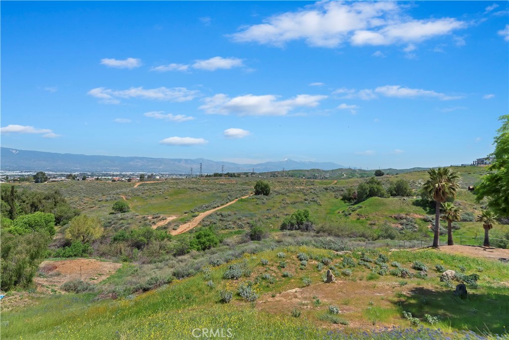 23247 Townsend Drive Grand Terrace, CA 92313 - Photo 50 of 51