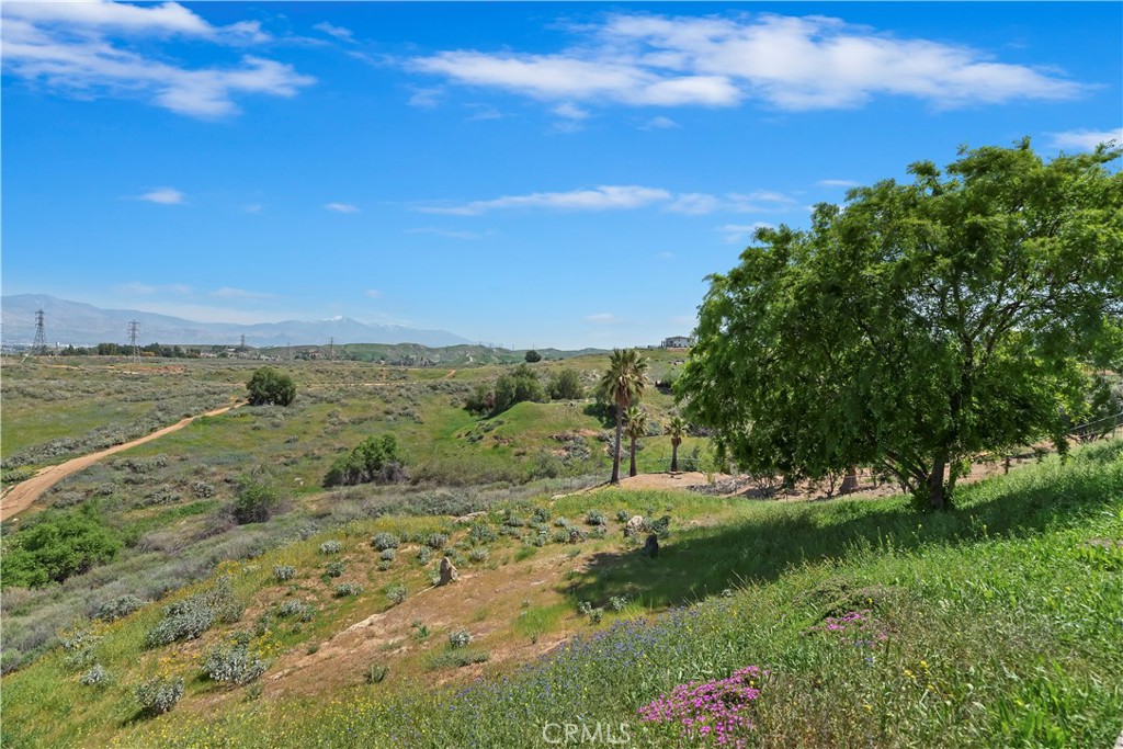 23247 Townsend Drive Grand Terrace, CA 92313 - Photo 51 of 51