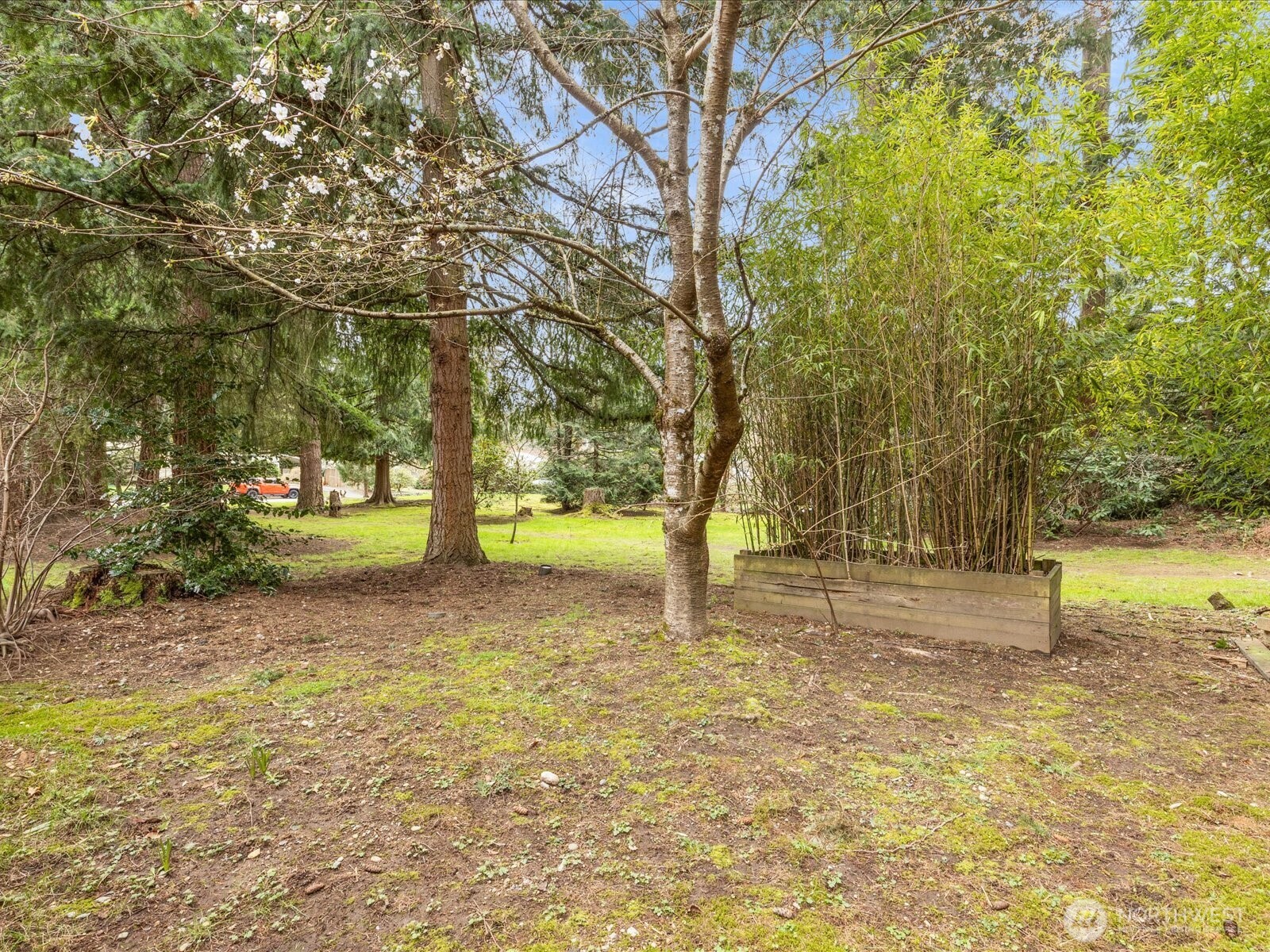 20524 32nd Drive Southeast Bothell, WA 98012 - Photo 32 of 39 a view of a yard with a tree
