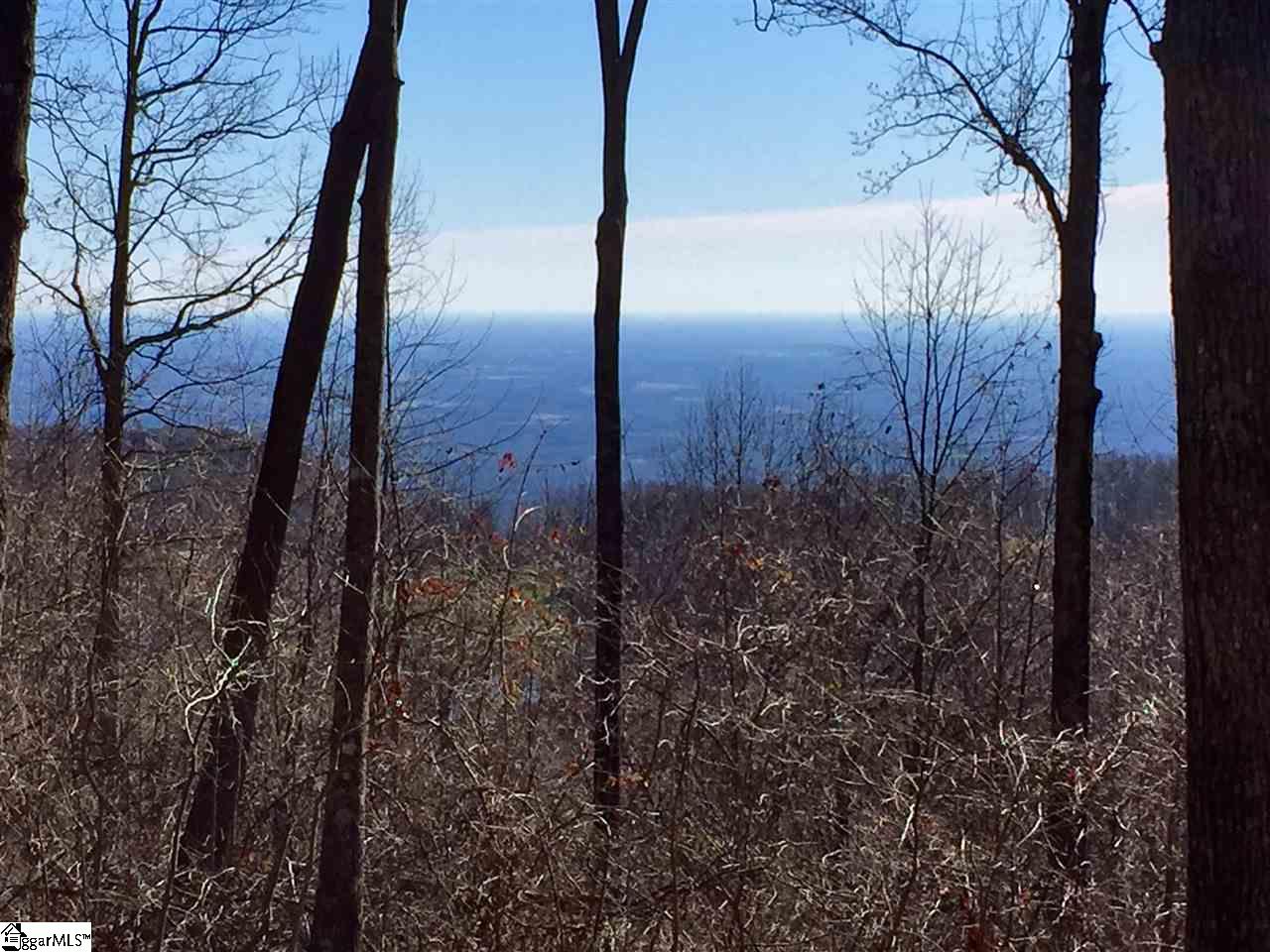 Indian Pipe Trail Landrum, SC 29356 - Photo 2 of 8