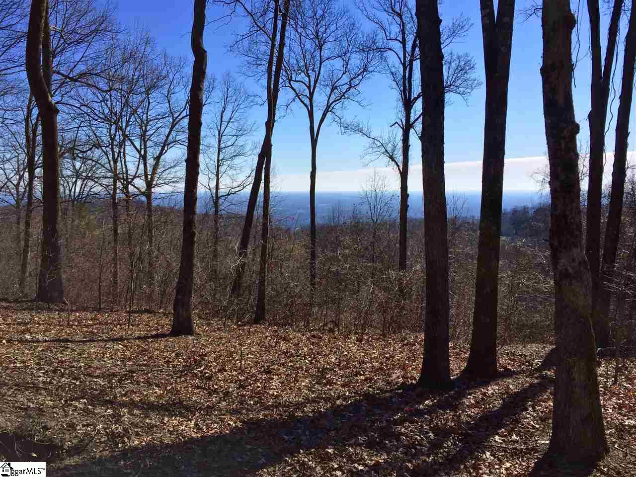 Indian Pipe Trail Landrum, SC 29356 - Photo 5 of 8