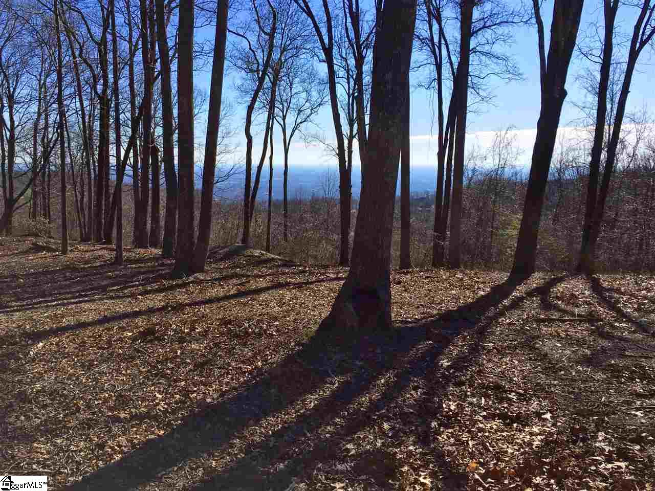 Indian Pipe Trail Landrum, SC 29356 - Photo 6 of 8