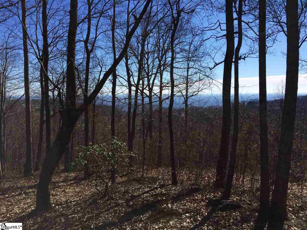 Indian Pipe Trail Landrum, SC 29356 - Photo 7 of 8