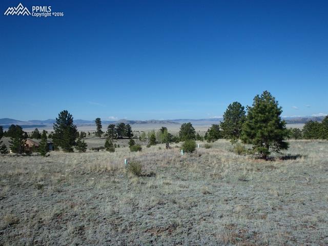 84 Routt Lane Lake George, CO 80827 - Photo 25 of 35 Gallery Image 25
