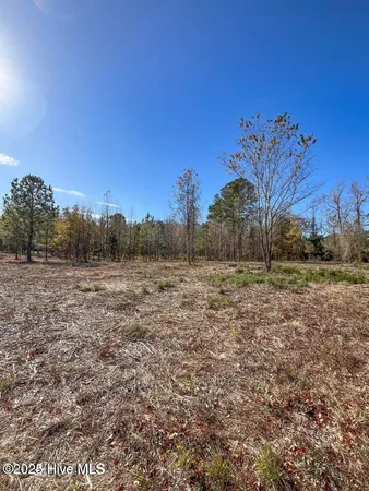 $525,000 | 0 South Nc 41 Highway, Wallace, NC 28466