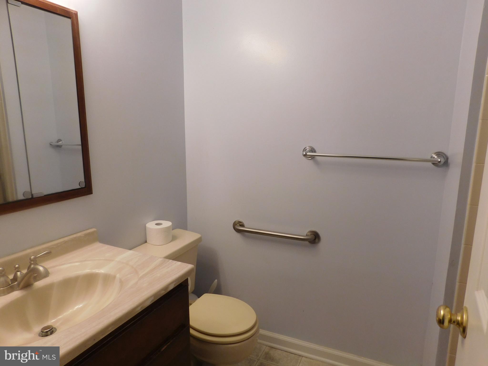 6375 Greenfield Road, Unit 1502 Elkridge, MD 21075 - Photo 13 of 20 primary bath