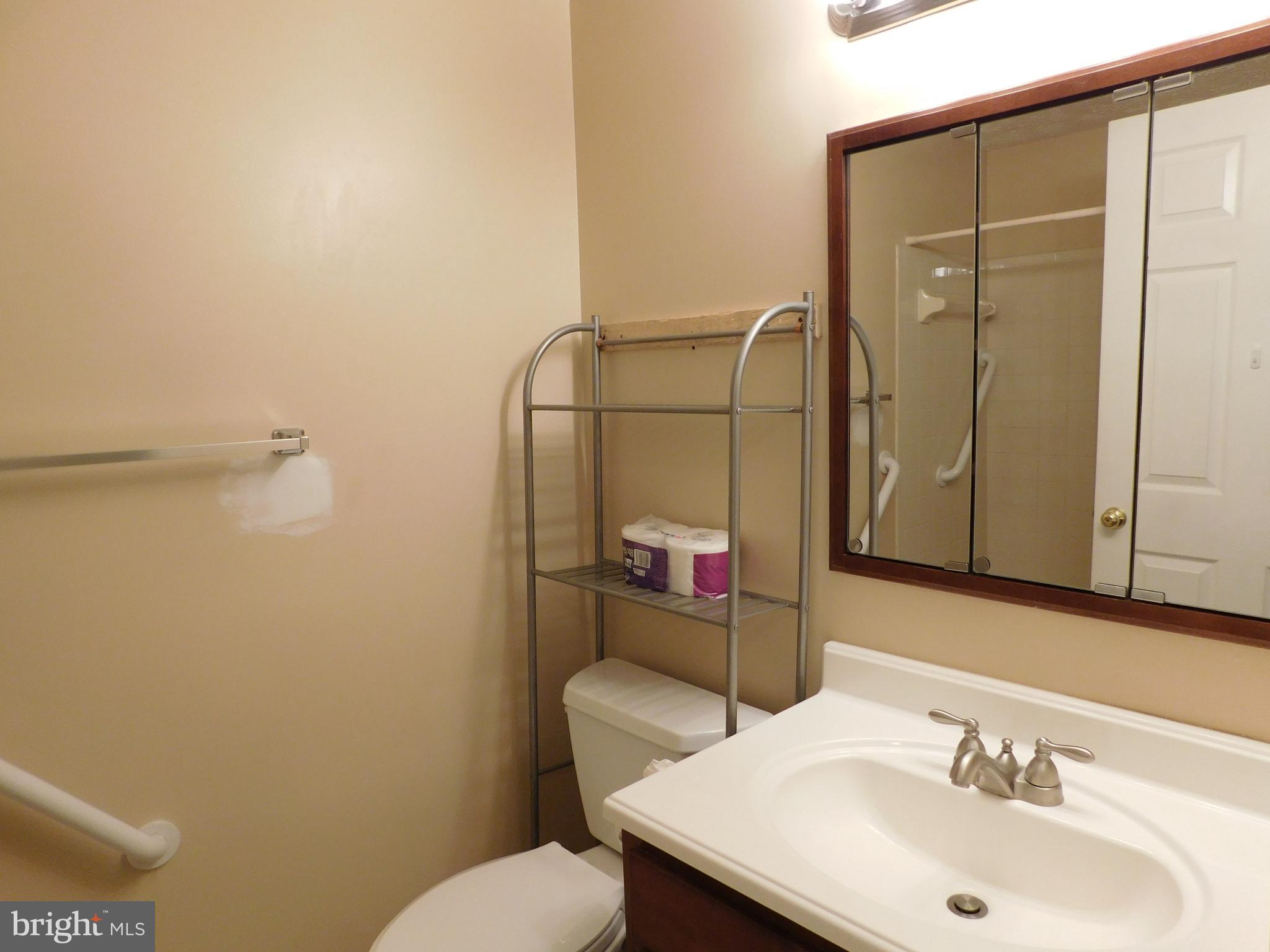 6375 Greenfield Road, Unit 1502 Elkridge, MD 21075 - Photo 15 of 20 hall bath