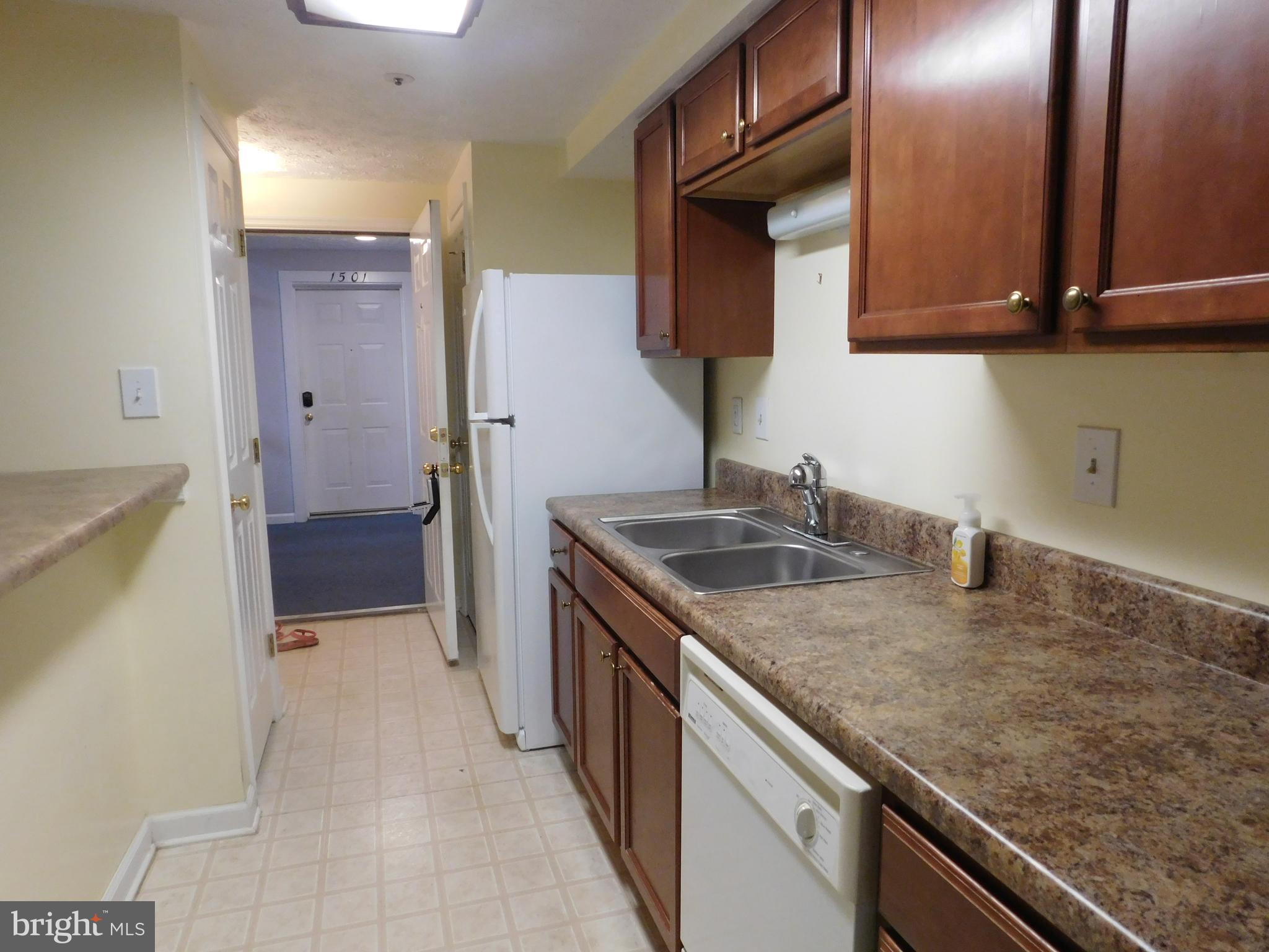 6375 Greenfield Road, Unit 1502 Elkridge, MD 21075 - Photo 3 of 20 double sink
