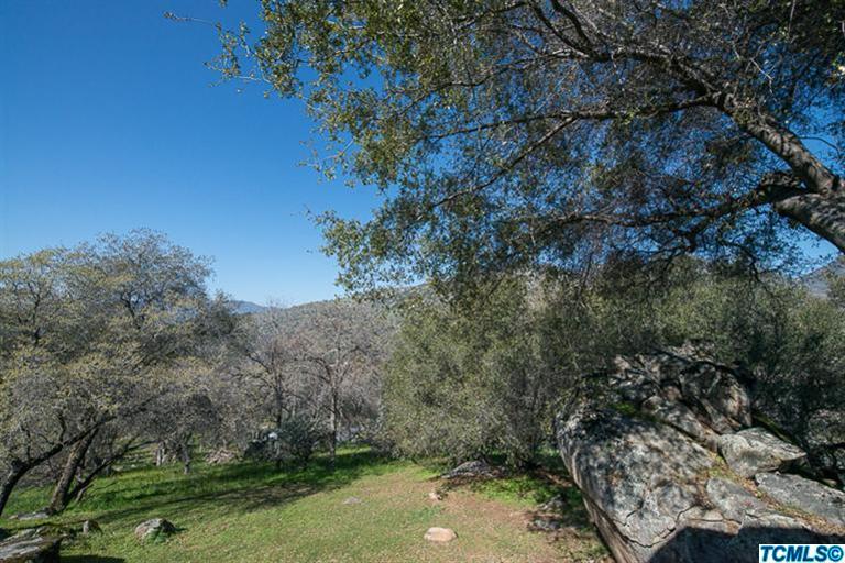 45220 Hammond Drive Three Rivers, CA 93271 - Photo 24 of 31 a view of a yard with a tree