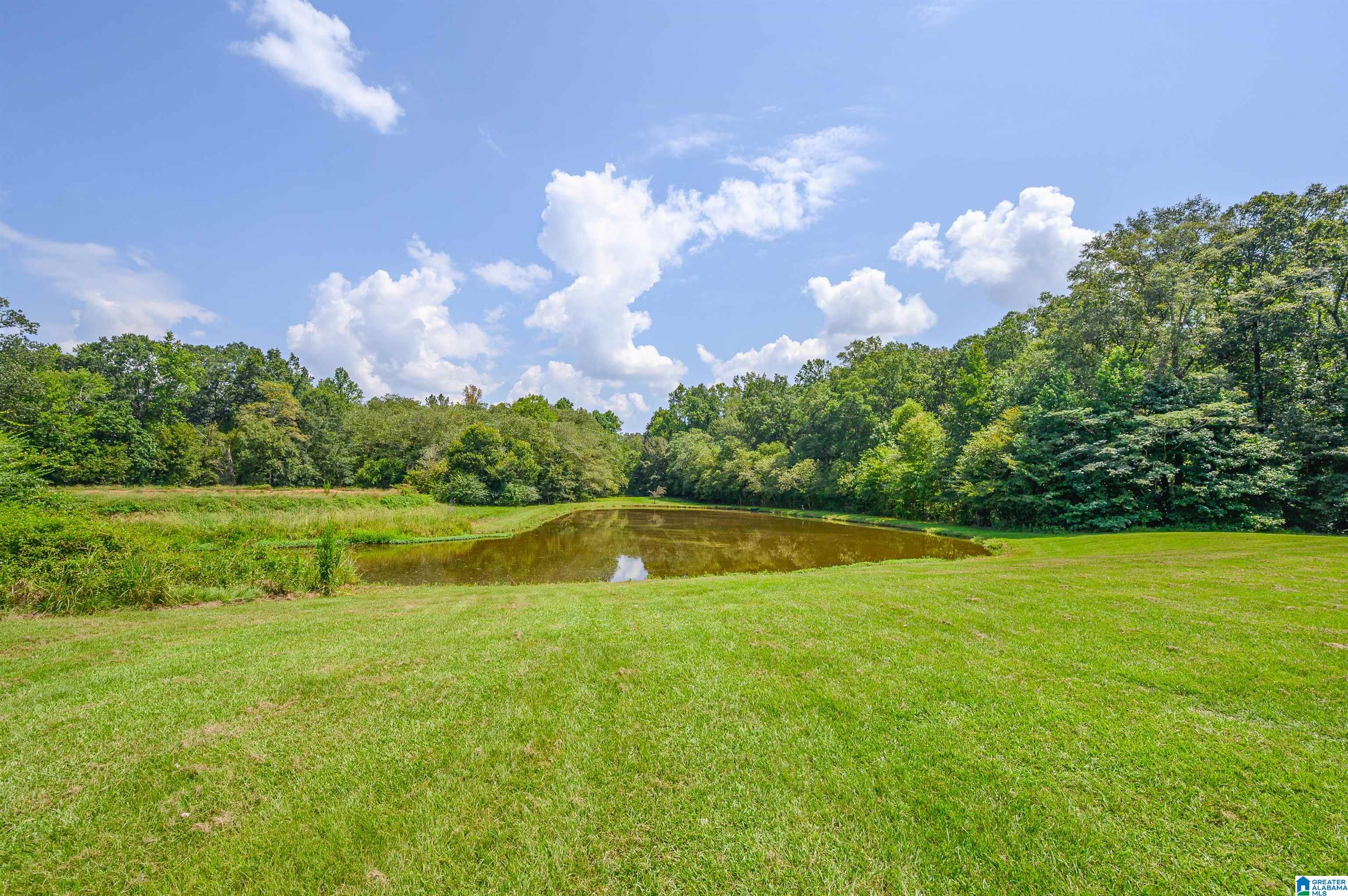 6578 Chelsea Road Columbiana, AL 35051 - Photo 36 of 52