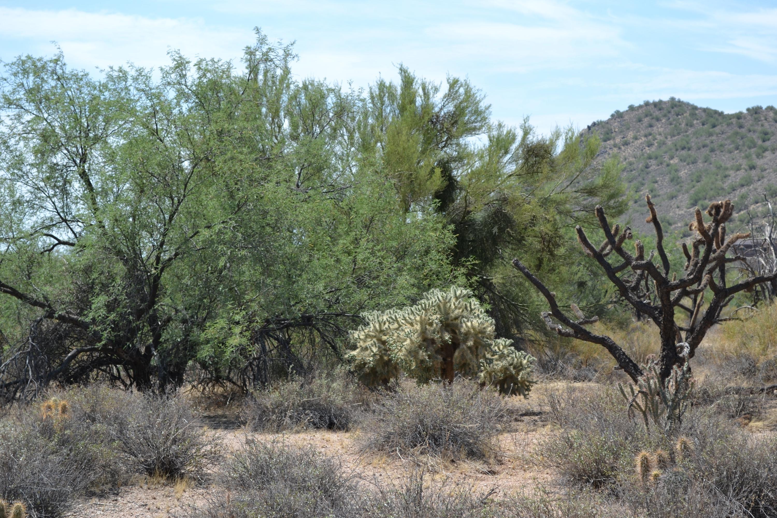 31801 East Ranch Road, Unit 12A Scottsdale, AZ 85266 - Photo 12 of 15 Lot 12A PInnacle Peak Ranchos - South