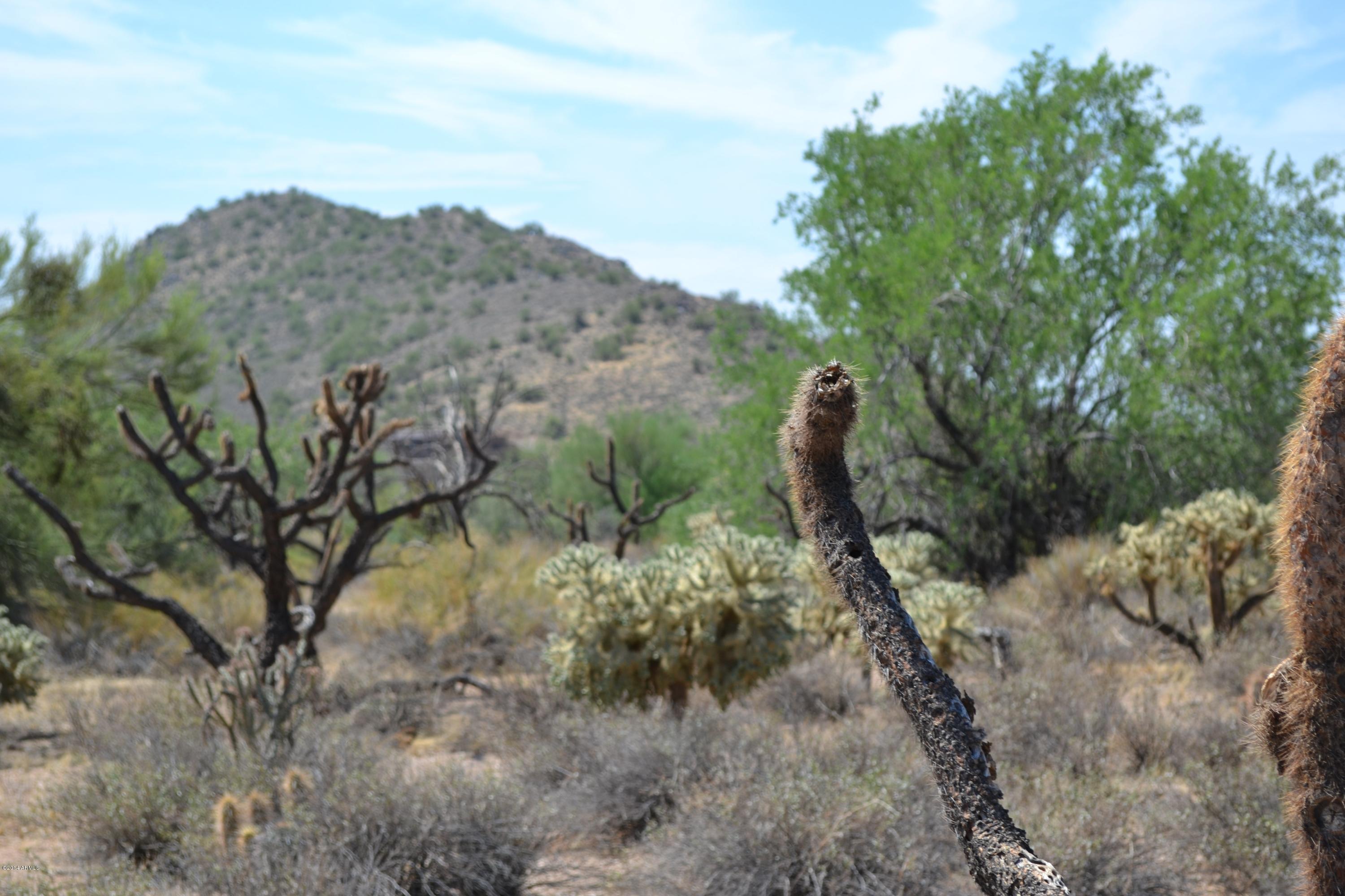 31801 East Ranch Road, Unit 12A Scottsdale, AZ 85266 - Photo 13 of 15 Lot 12A PInnacle Peak Ranchos - South 2