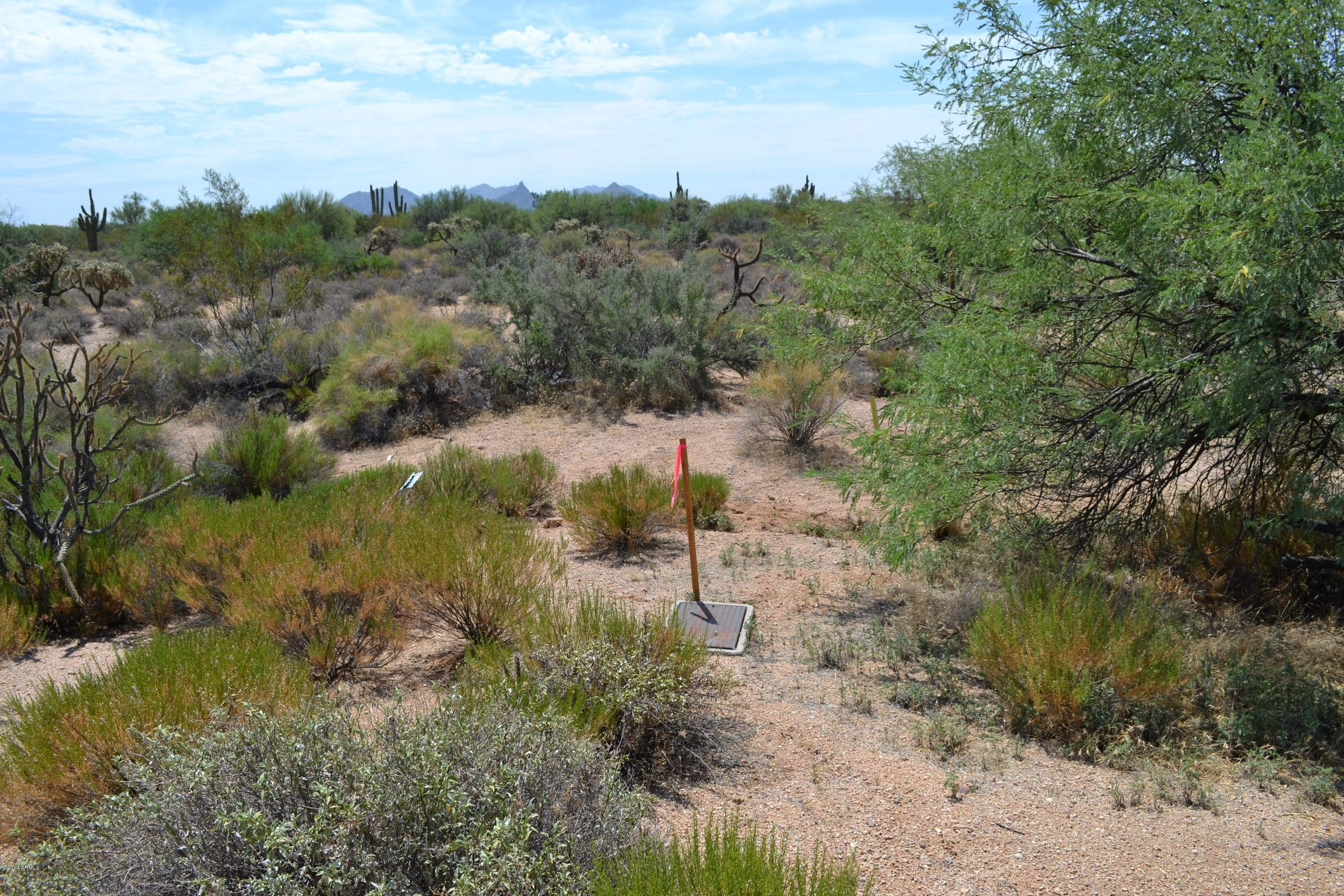 31801 East Ranch Road, Unit 12A Scottsdale, AZ 85266 - Photo 10 of 15 Lot 12A PInnacle Peak Ranchos