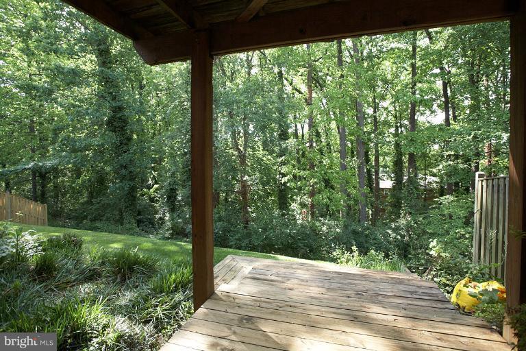 9123 Saffron Lane Silver Spring, MD 20901 - Photo 18 of 26 Rear patio