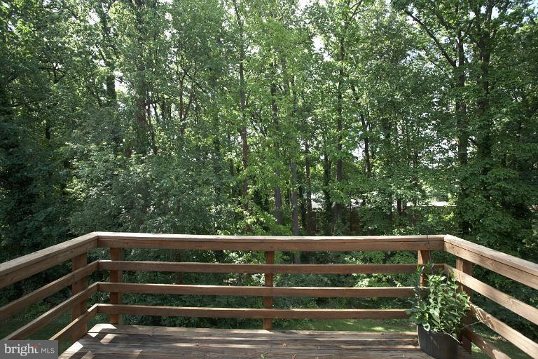 9123 Saffron Lane Silver Spring, MD 20901 - Photo 4 of 26 Rear deck