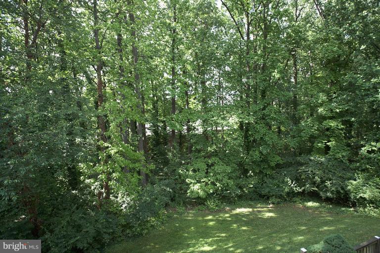 9123 Saffron Lane Silver Spring, MD 20901 - Photo 10 of 26 View from deck