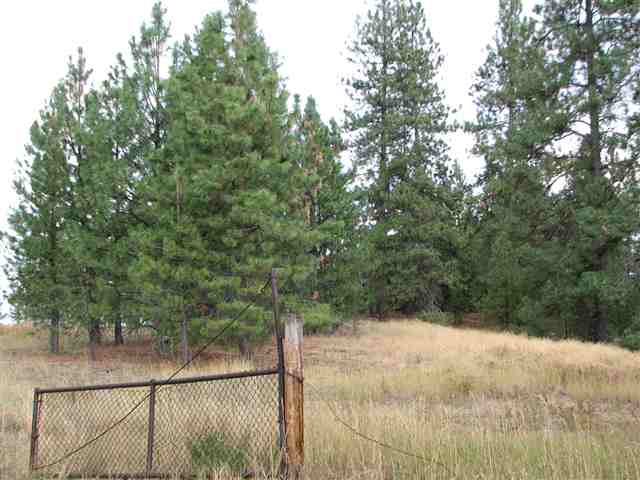 0 North Chronicle Mead, WA 99021 - Photo 1 of 9 Gallery Image 1
