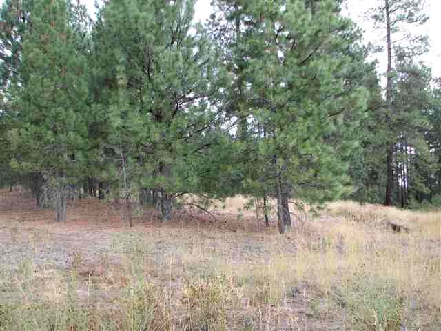 0 North Chronicle Mead, WA 99021 - Photo 2 of 9 Gallery Image 2