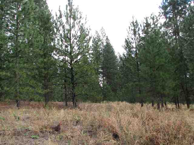 0 North Chronicle Mead, WA 99021 - Photo 3 of 9 Gallery Image 3