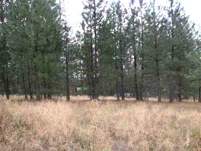 0 North Chronicle Mead, WA 99021 - Photo 5 of 9 Gallery Image 5