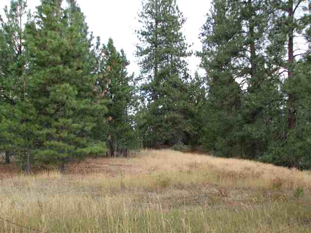 0 North Chronicle Mead, WA 99021 - Photo 6 of 9 Gallery Image 6