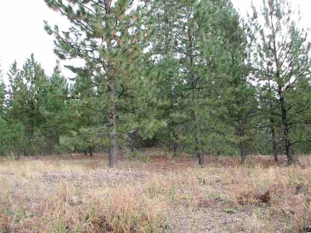 0 North Chronicle Mead, WA 99021 - Photo 7 of 9 Gallery Image 7