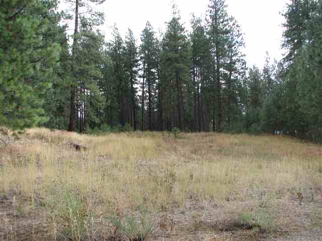 0 North Chronicle Mead, WA 99021 - Photo 8 of 9 Gallery Image 8