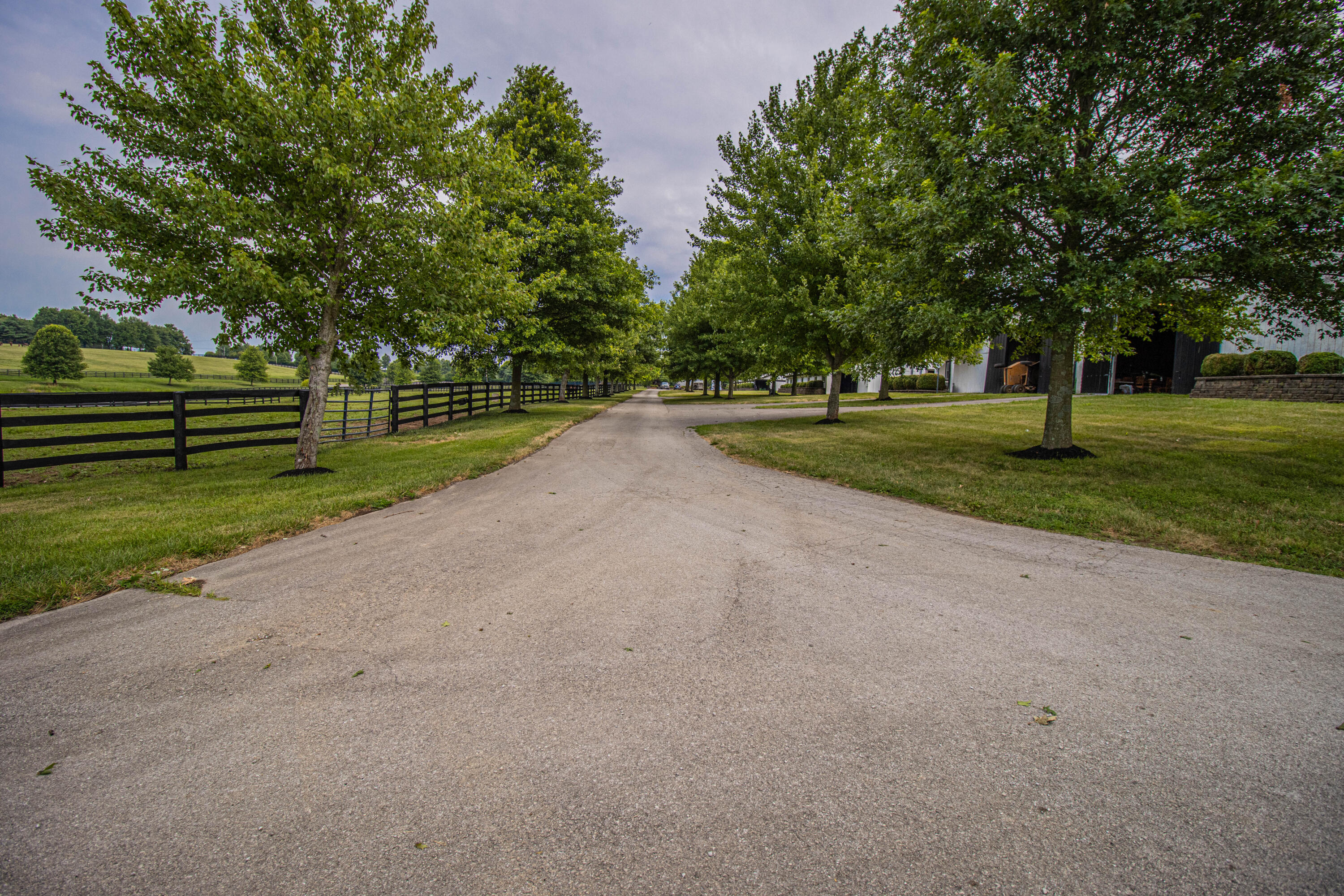 700 Cane Ridge Road Paris, KY 40361 - Photo 14 of 74 IMG_6707
