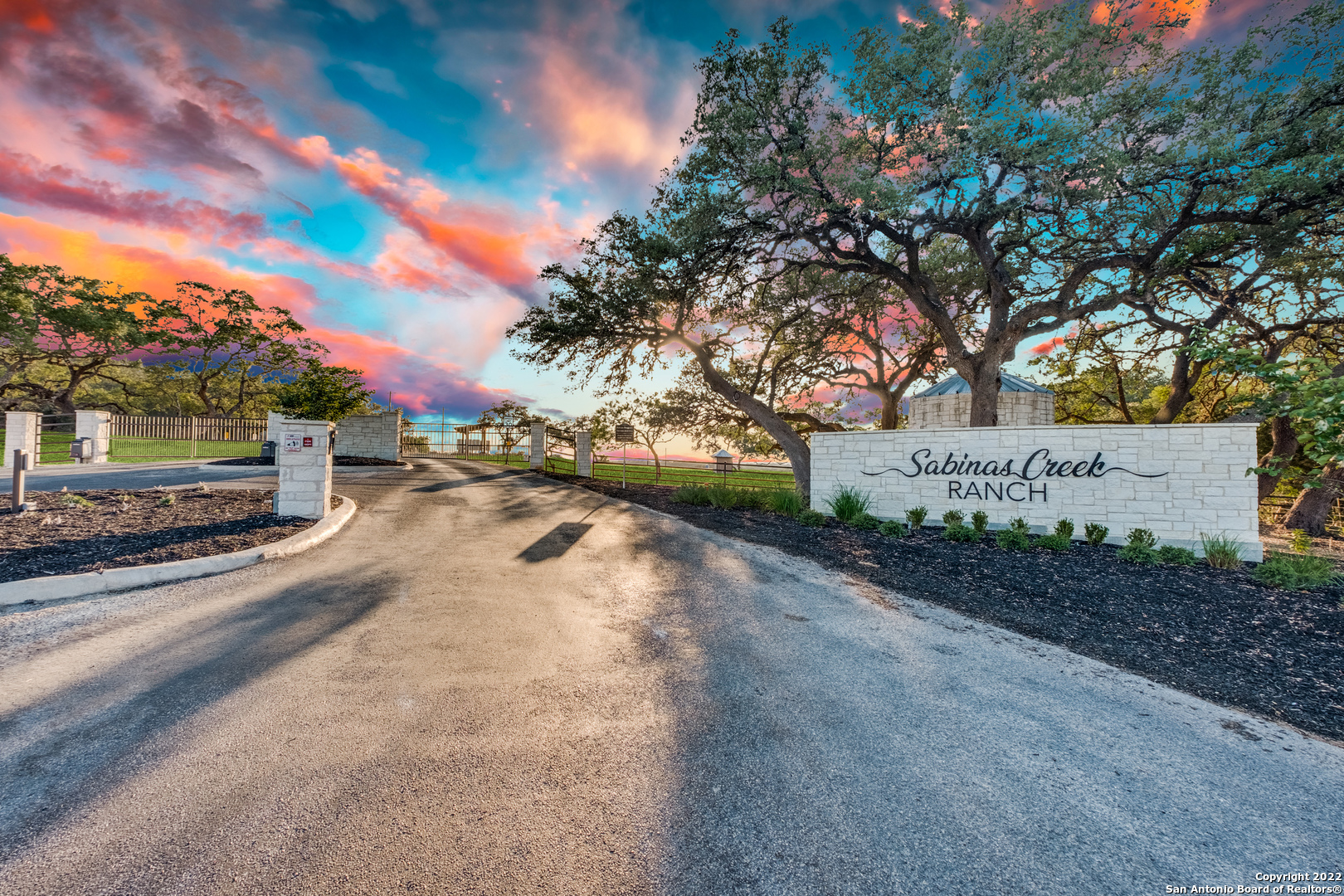 a street view with garden