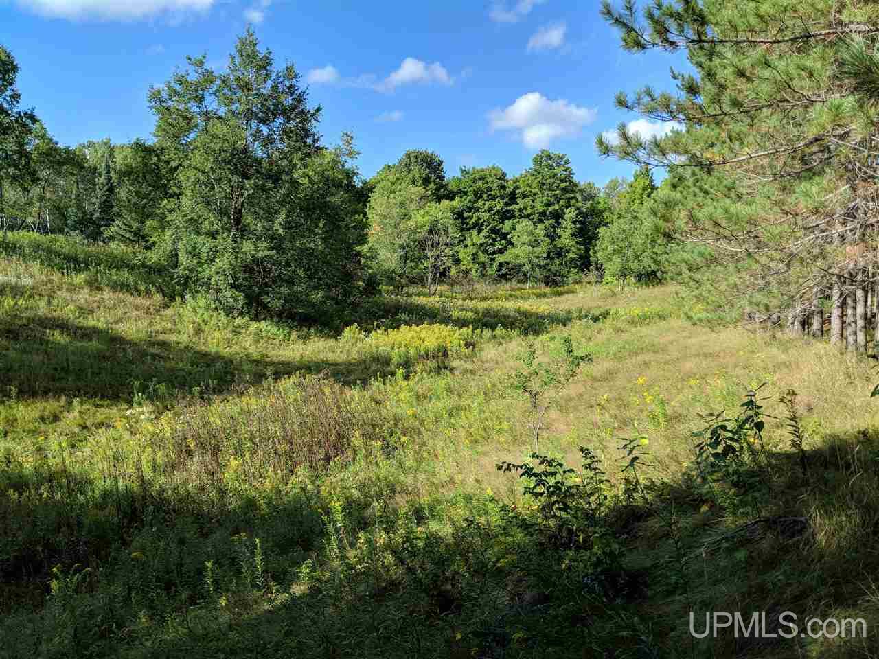 692 Baumgartner Road Iron River, MI 49935 - Photo 29 of 29 Gallery Image 29