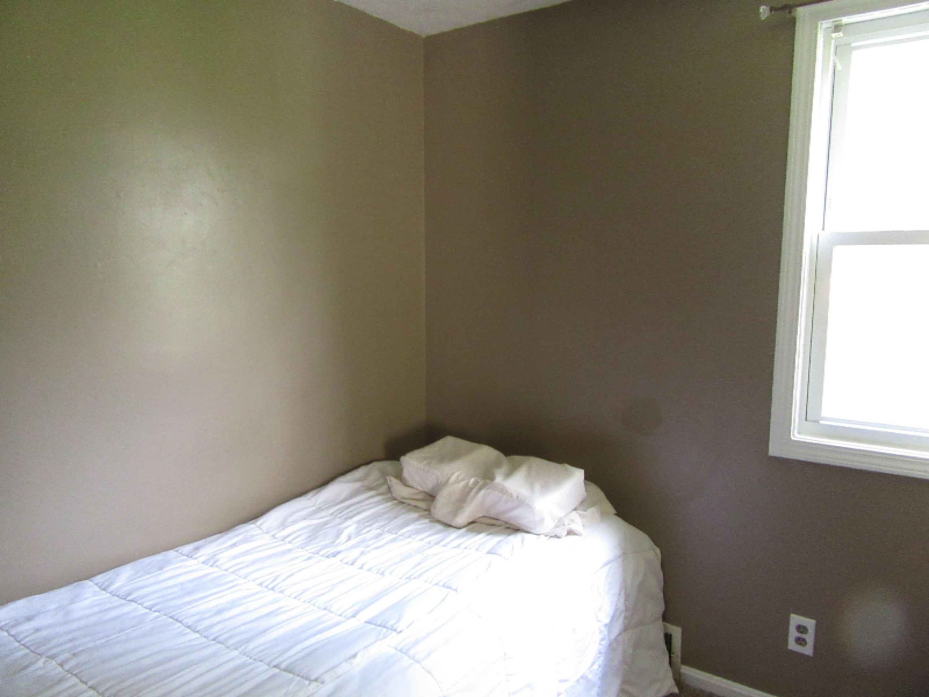 9190 California Road Bridgman, MI 49106 - Photo 20 of 32 9190 California BR 1