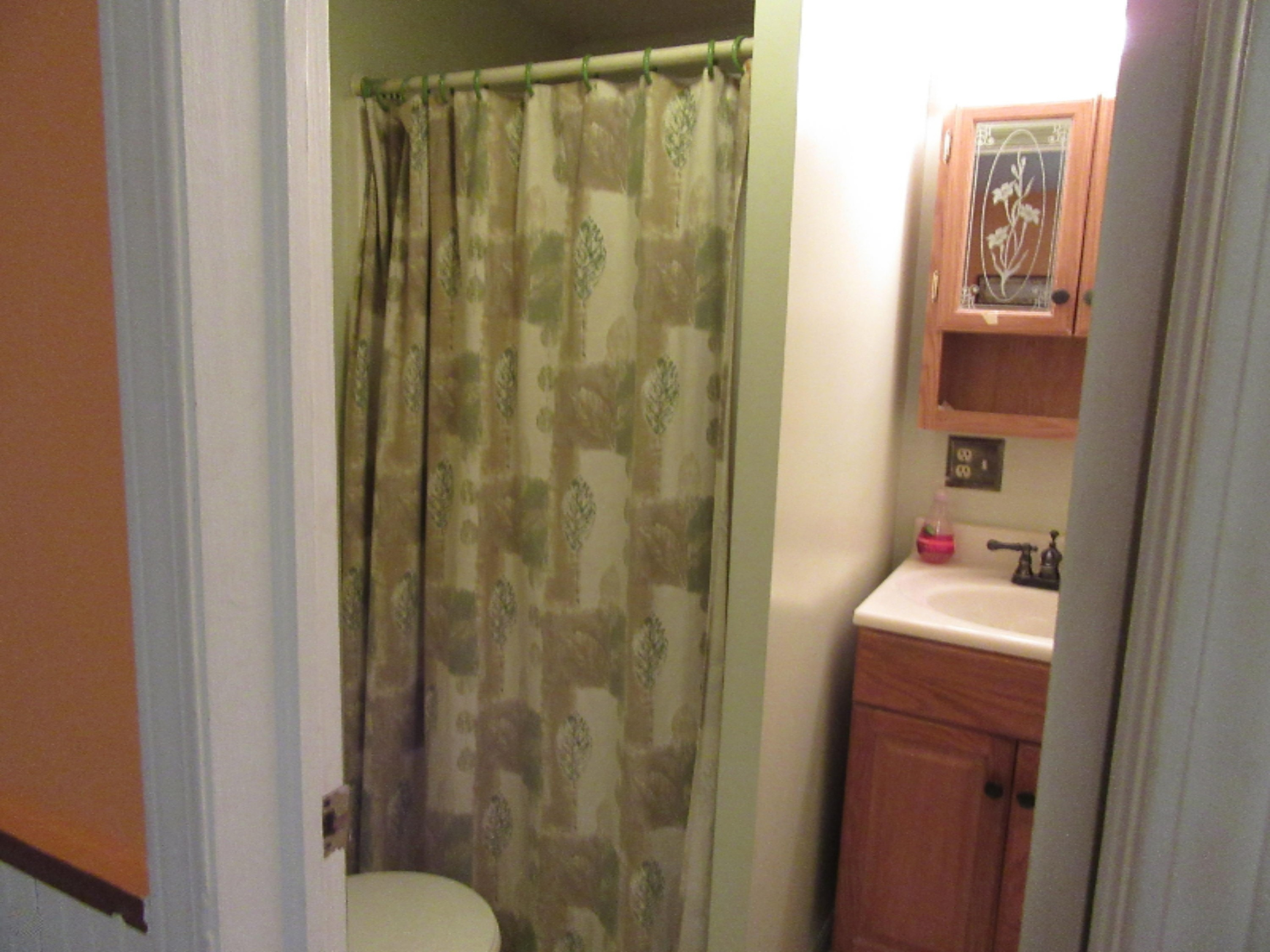 9190 California Road Bridgman, MI 49106 - Photo 22 of 32 9190 California Bath 1