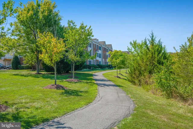 a view of a park with large trees
