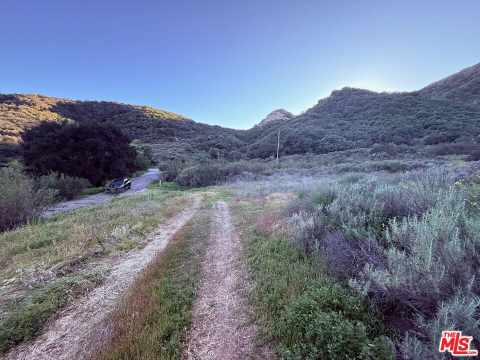 23629 Zuniga Road Topanga, CA 90290 - Photo 13 of 21