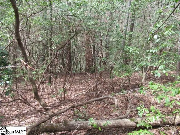 $7,500 | 315 Falcon Crest Way, Pickens, SC 29671