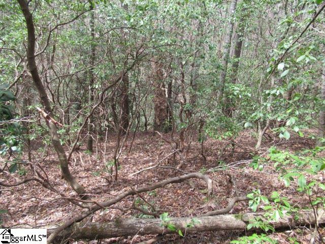 315 Falcon Crest Way Pickens, SC 29671 - Photo 11 of 17